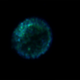 Illustration for article titled This Supernova Remnant Is a Festive Holiday Bauble
